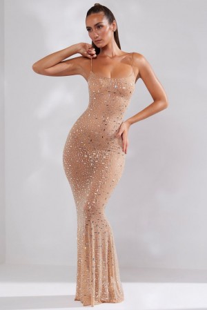 Oh Polly Antonella Sheer Embellished Scoop Neck Evening Gown Almond | DJGC-91362